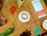 *Cosmetic Discount* Range Dial Kitchen Pro smart cooking thermometer