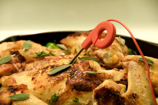Range Dial smart cooking thermometer — without probes